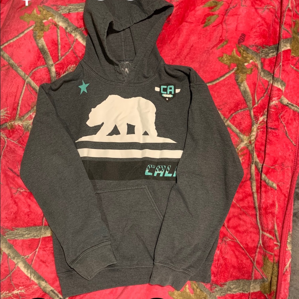 Polar Bear Hoodie